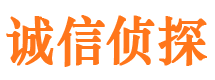 启东市私家侦探